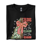 Jesus is the Reason for the Season